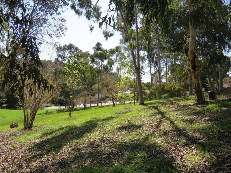 16 Torwood Drive, Gooseberry Hill WA 6076