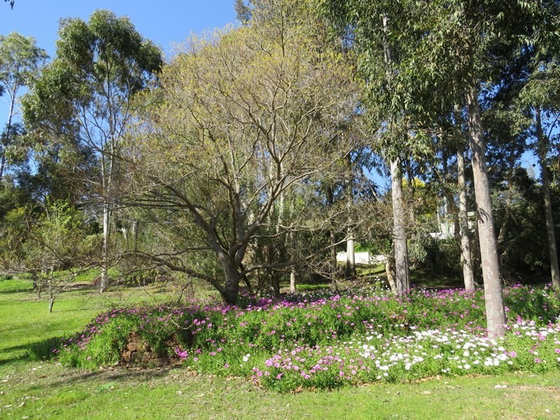 16 Torwood Drive, Gooseberry Hill WA 6076