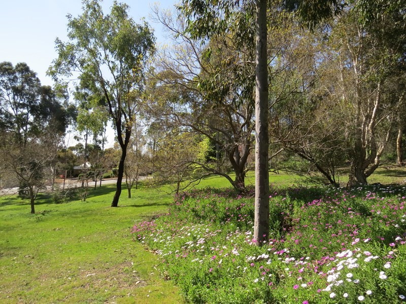 16 Torwood Drive, Gooseberry Hill WA 6076