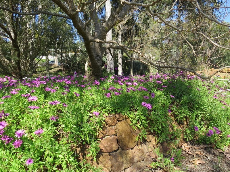 16 Torwood Drive, Gooseberry Hill WA 6076