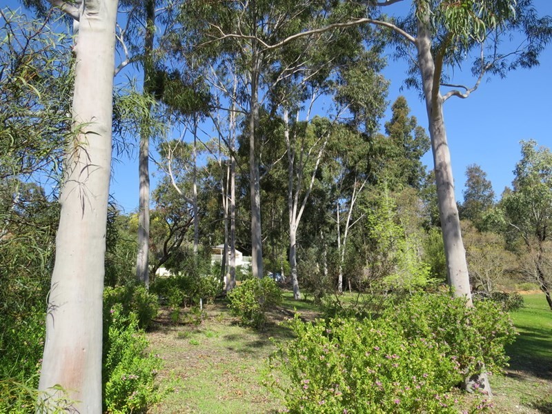 16 Torwood Drive, Gooseberry Hill WA 6076