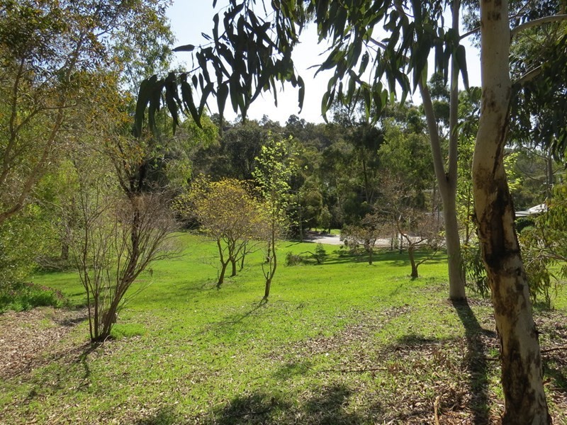 16 Torwood Drive, Gooseberry Hill WA 6076