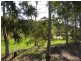 16 Torwood Drive, Gooseberry Hill WA 6076