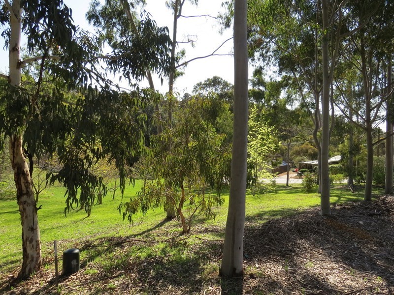 16 Torwood Drive, Gooseberry Hill WA 6076