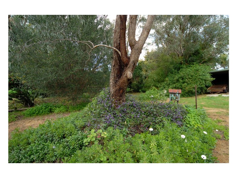 107 Gooseberry Hill Road, Gooseberry Hill WA 6076