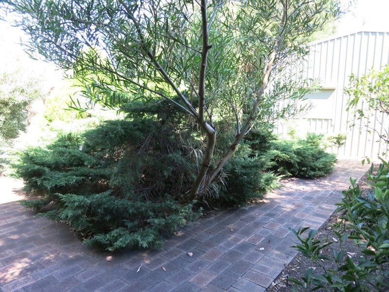 10 Chislehurst Road, Lesmurdie WA 6076