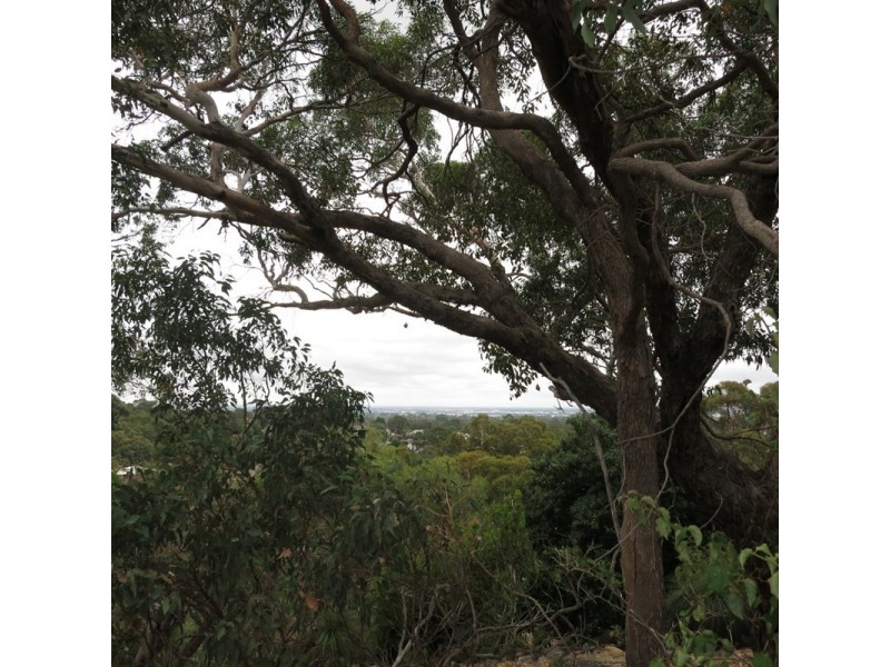 5 Grenville Road, Gooseberry Hill WA 6076