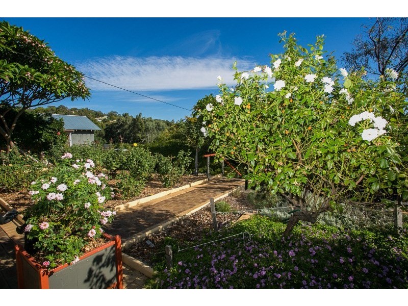 44 Watsonia Road, Gooseberry Hill WA 6076