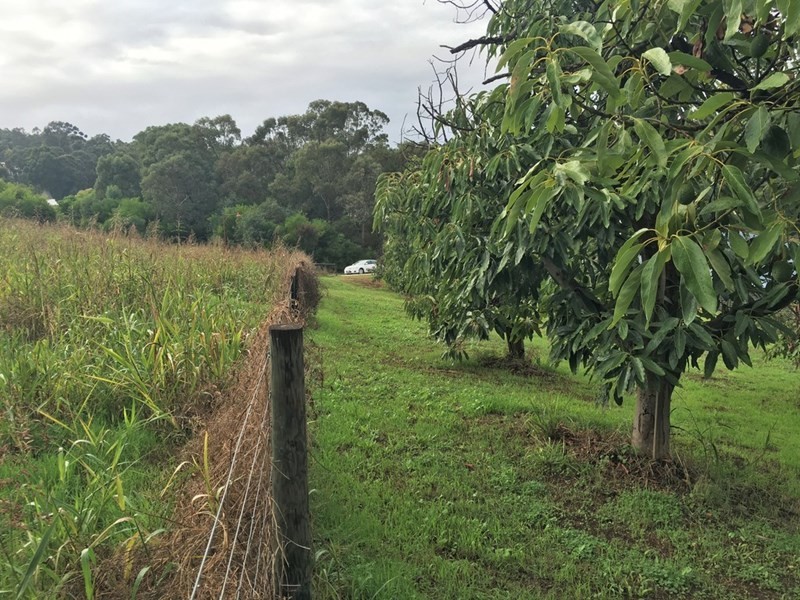 6 Zavatteri Rise, Roleystone WA 6111