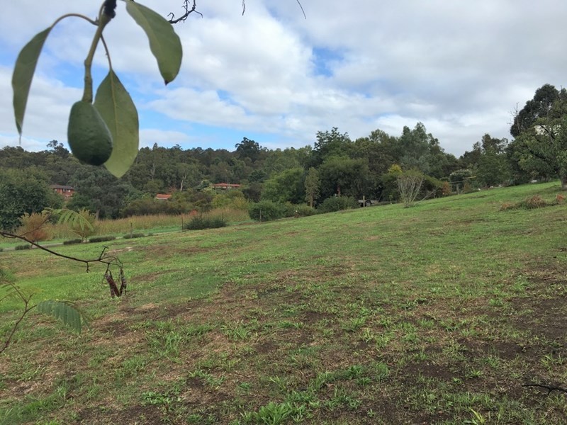 6 Zavatteri Rise, Roleystone WA 6111