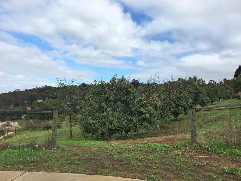 6 Zavatteri Rise, Roleystone WA 6111