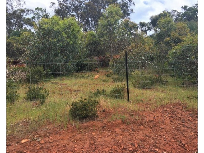 10 Rowley Street, Kelmscott WA 6111