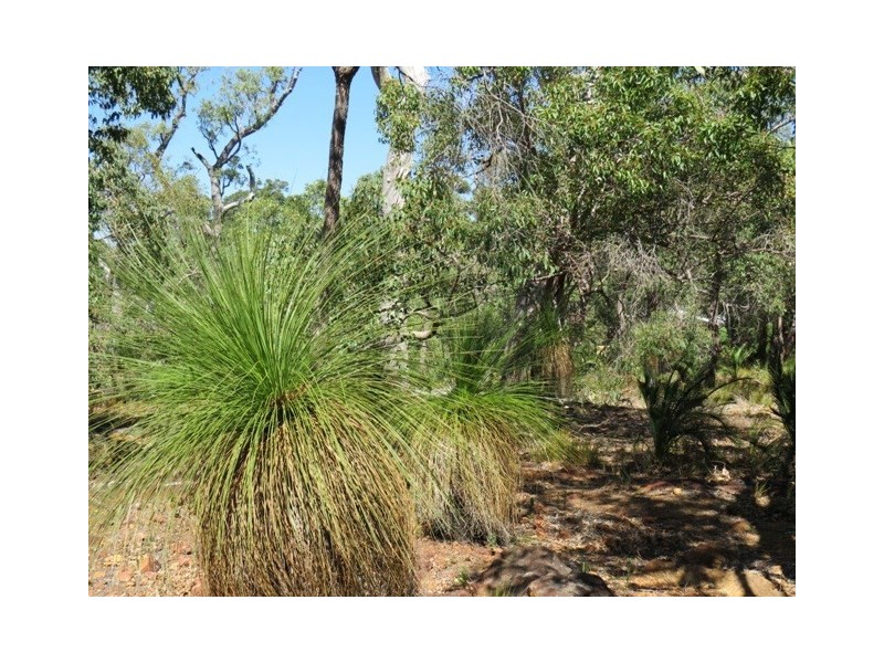 26 Graham Road, Gooseberry Hill WA 6076