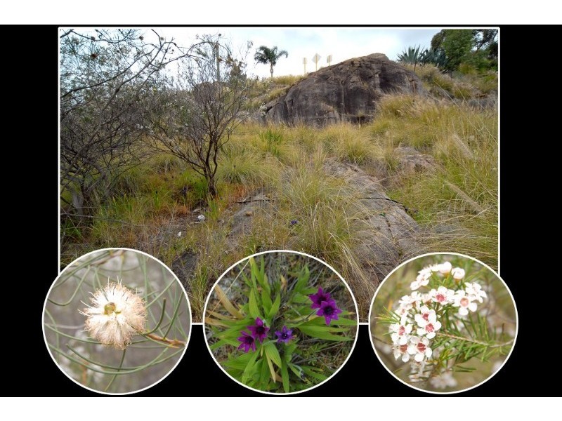 27 Gray Road, Gooseberry Hill WA 6076