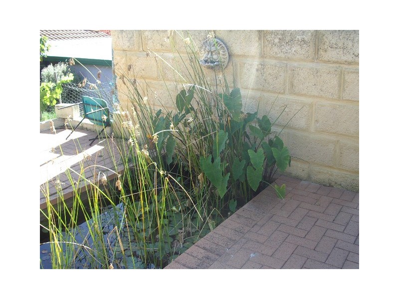 7 Bellbird Court, High Wycombe WA 6057