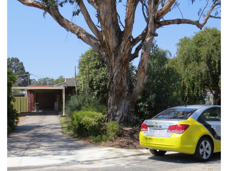 8 Pine Court, Forrestfield WA 6058