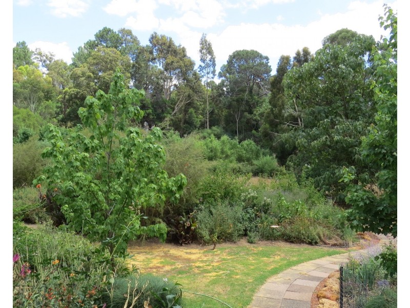 51 Woodbine Road, Pickering Brook WA 6076