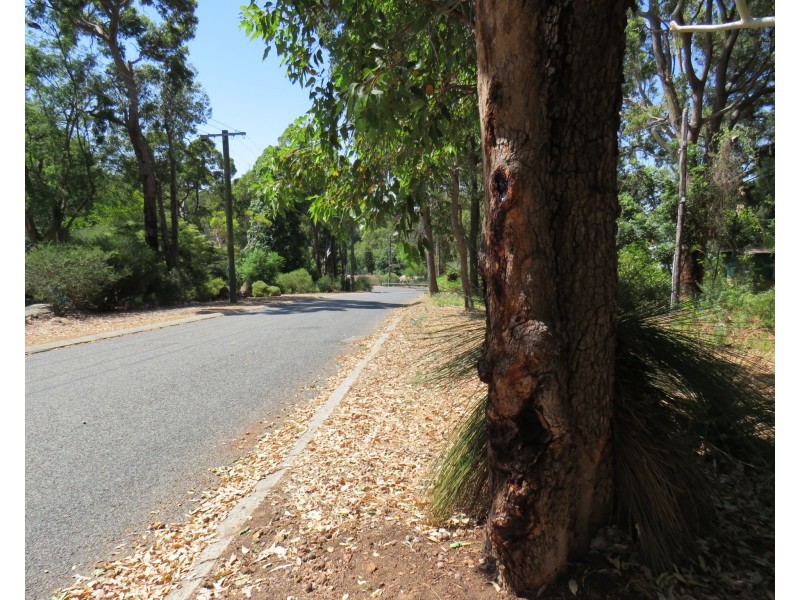 10 Mundaring Weir Road, Kalamunda WA 6076