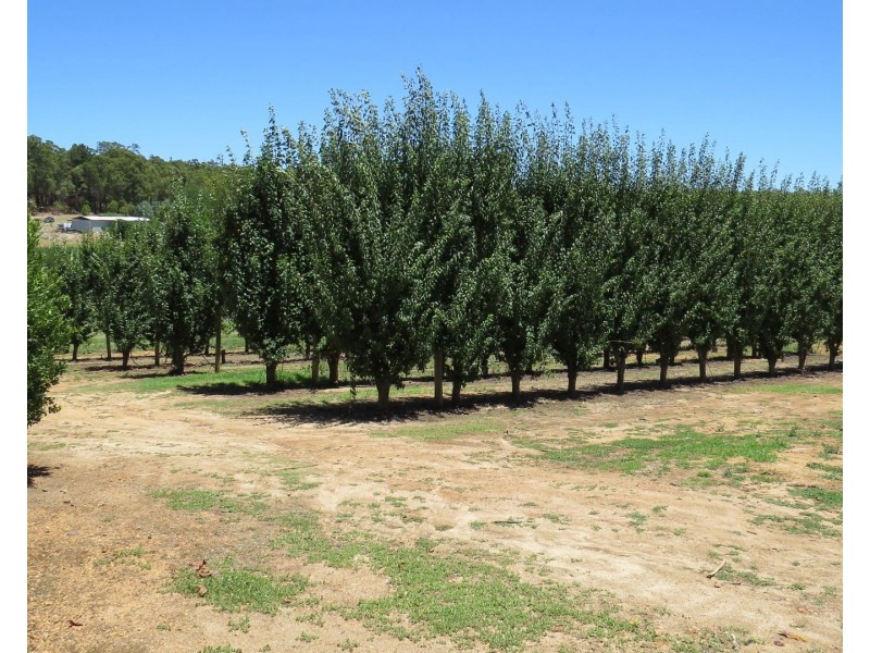 620B Pickering Brook Road, Pickering Brook WA 6076