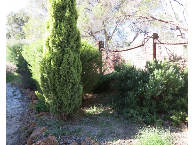 310A Lesmurdie Road, Lesmurdie WA 6076