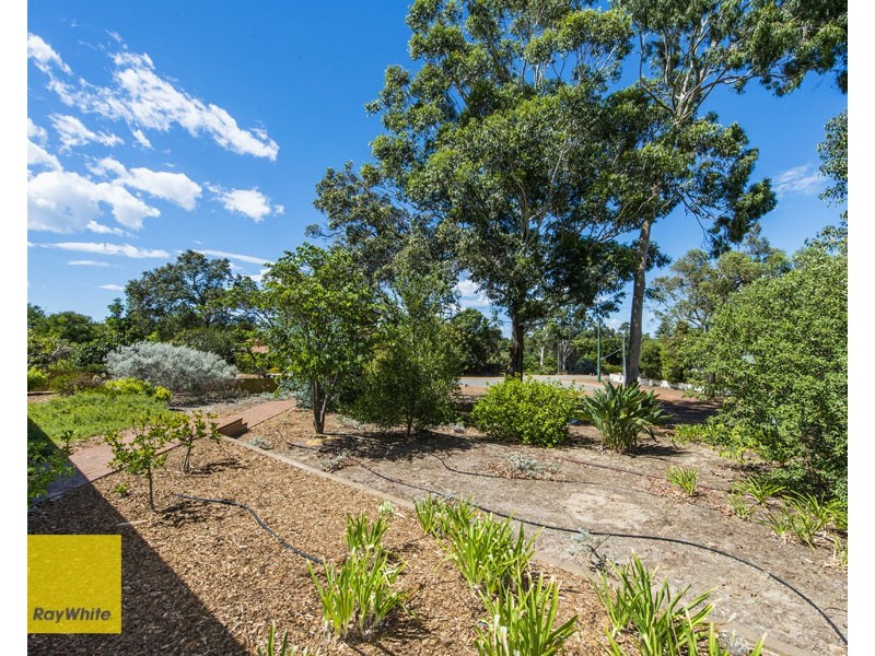 19 Crestview Crescent, Kalamunda WA 6076