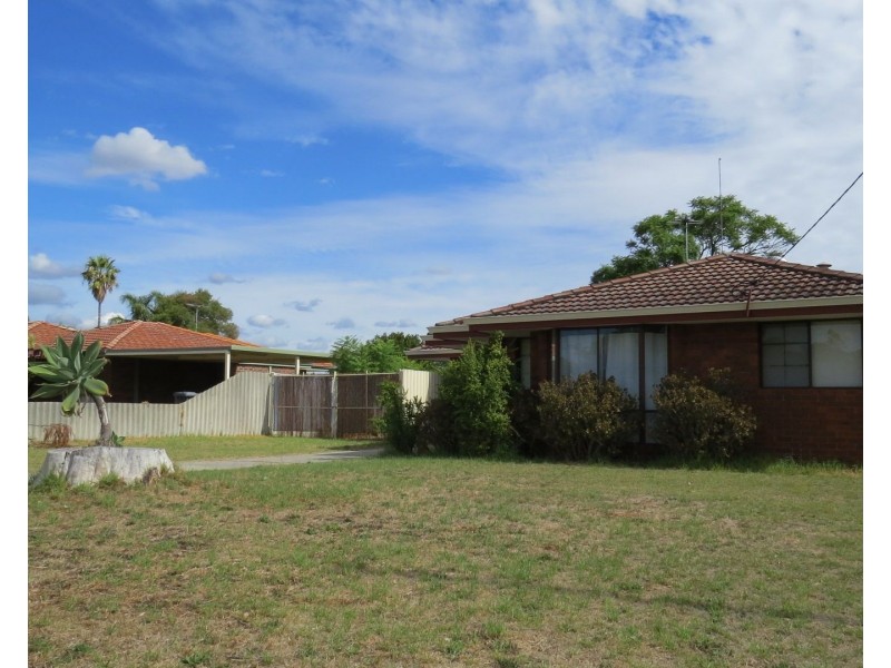 19 Wilcannia Way, Armadale WA 6112