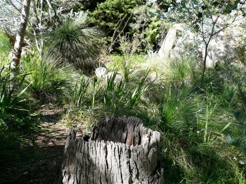 48 West Terrace, Kalamunda WA 6076