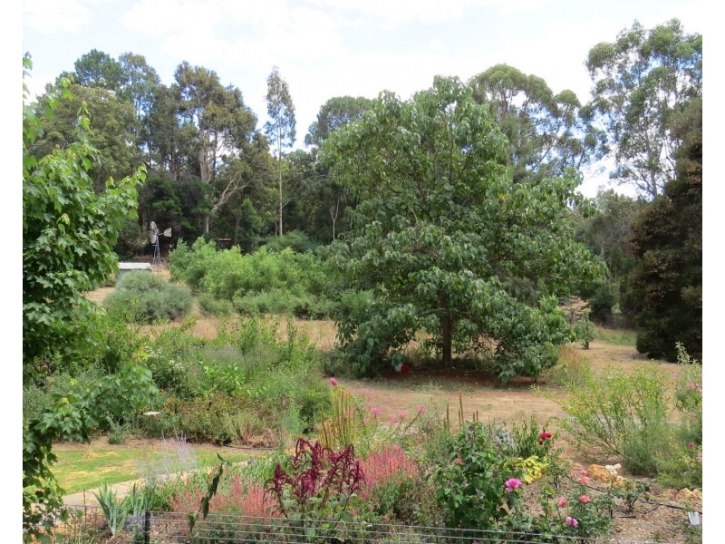 51 Woodbine Road, Pickering Brook WA 6076