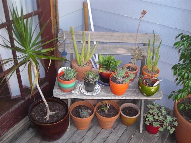 23 Tillbrook Street, Glen Forrest WA 6071