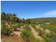 195 Forrest Road, Pickering Brook WA 6076