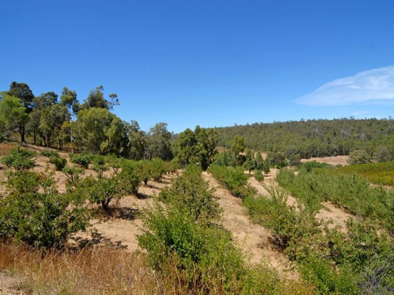 195 Forrest Road, Pickering Brook WA 6076