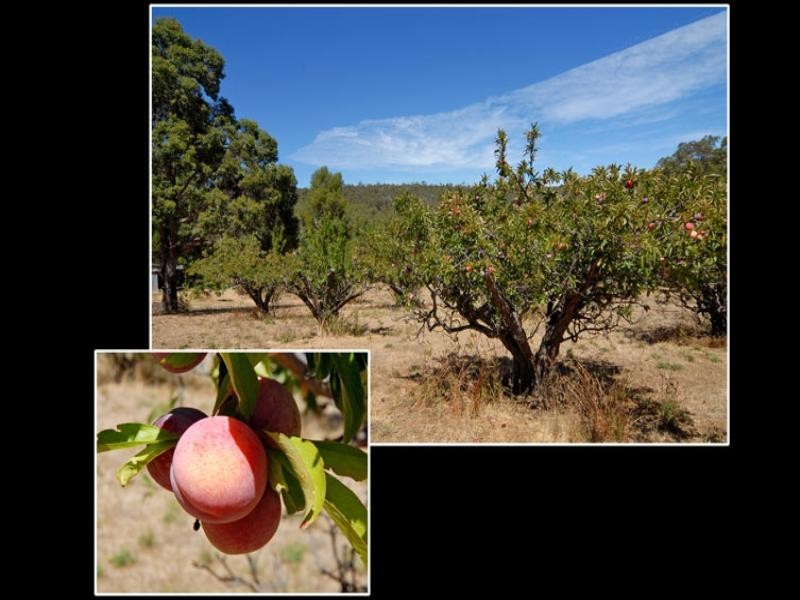 195 Forrest Road, Pickering Brook WA 6076