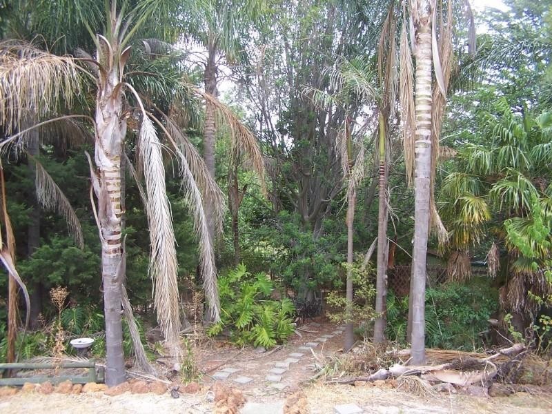 278 Lesmurdie Road, Lesmurdie WA 6076