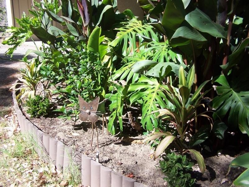 29 Betti Road, Kalamunda WA 6076