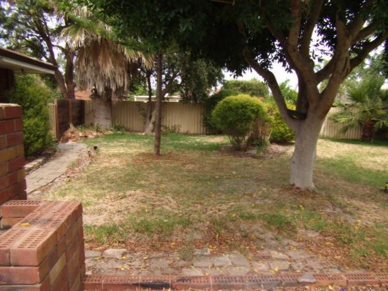6 Haffner Court, Maddington WA 6109