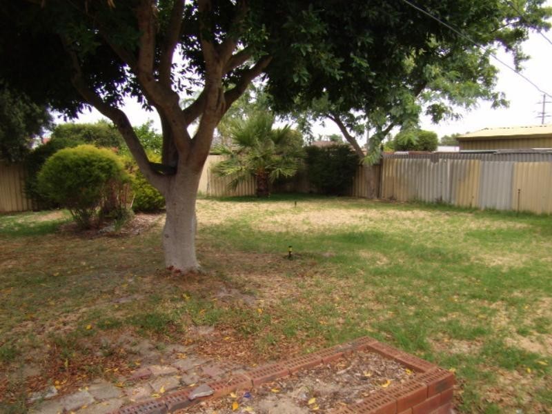 6 Haffner Court, Maddington WA 6109