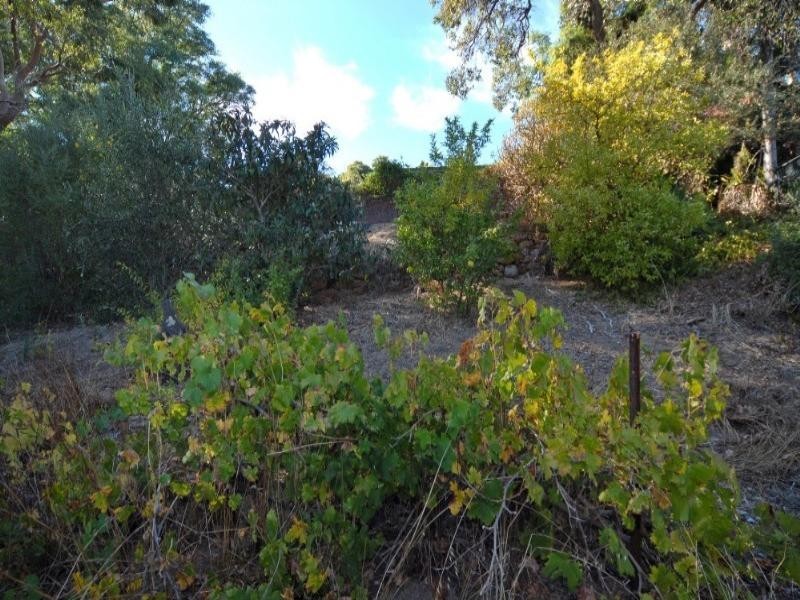 14 Francis Street, Kalamunda WA 6076