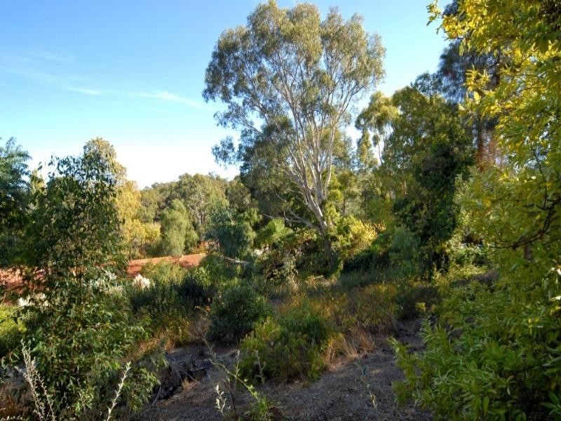 14 Francis Street, Kalamunda WA 6076