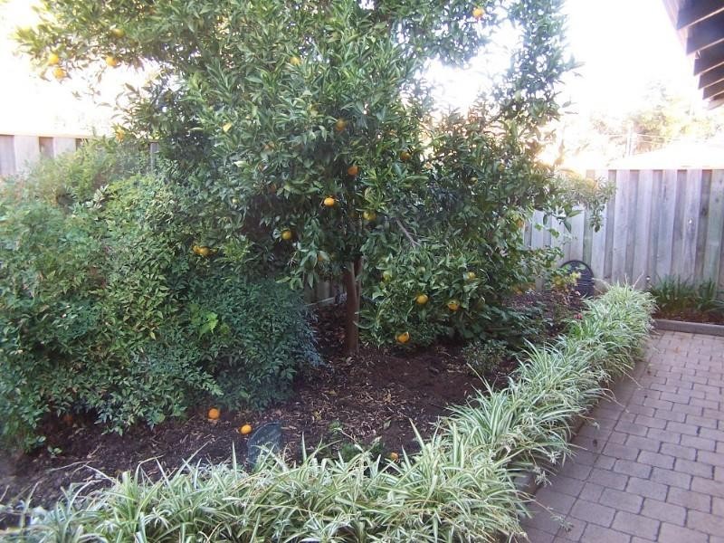 3/36 Canning Road, Kalamunda WA 6076