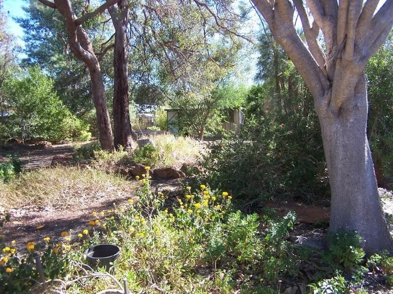 20 Corella Street, Lesmurdie WA 6076