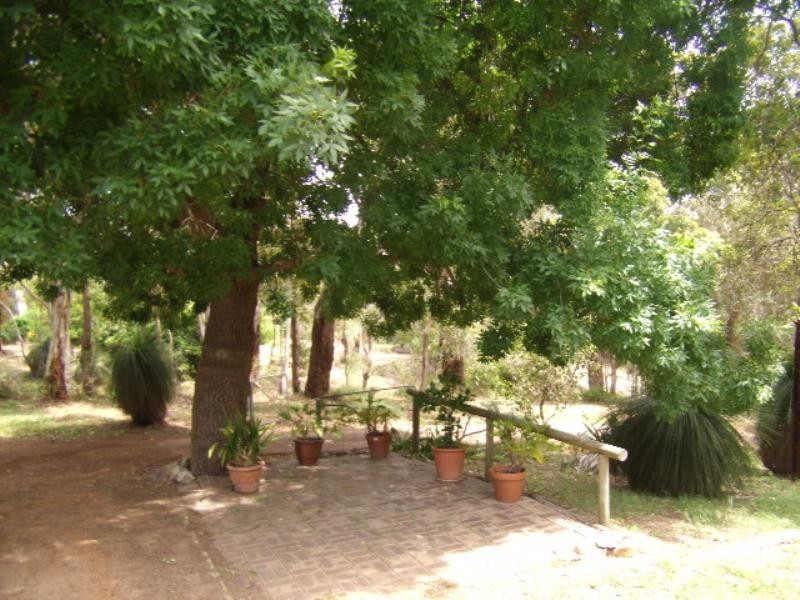 19 Gooseberry Hill Road, Gooseberry Hill WA 6076