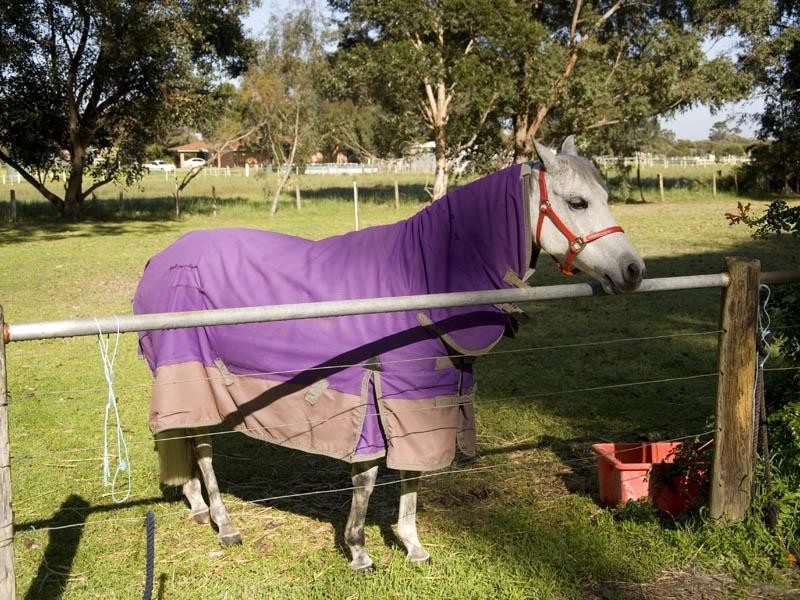 86 Victoria Road, Wattle Grove WA 6107