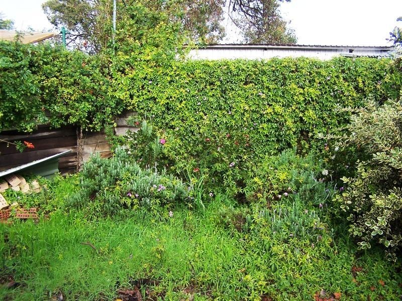 29 Mcrae Road, Kalamunda WA 6076