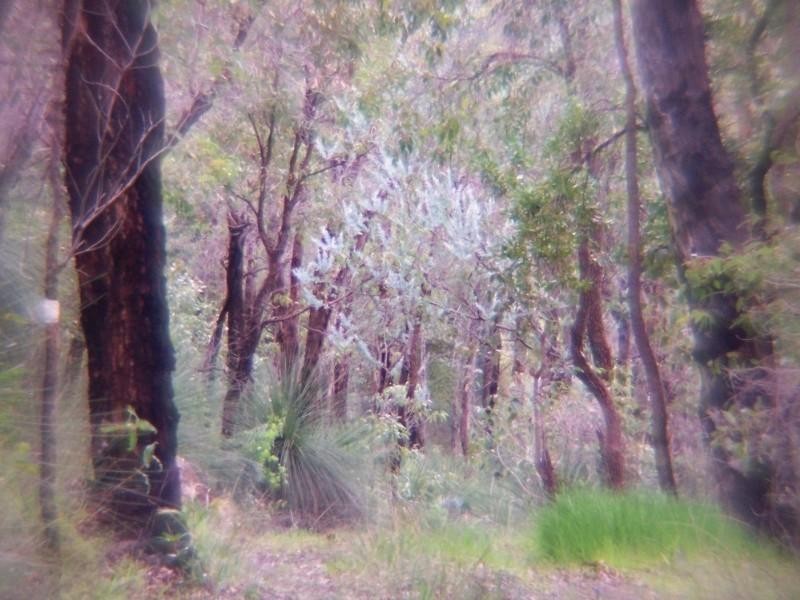 94 Falls Road, Lesmurdie WA 6076