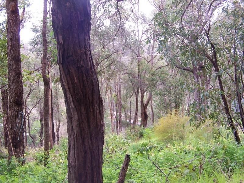 94 Falls Road, Lesmurdie WA 6076