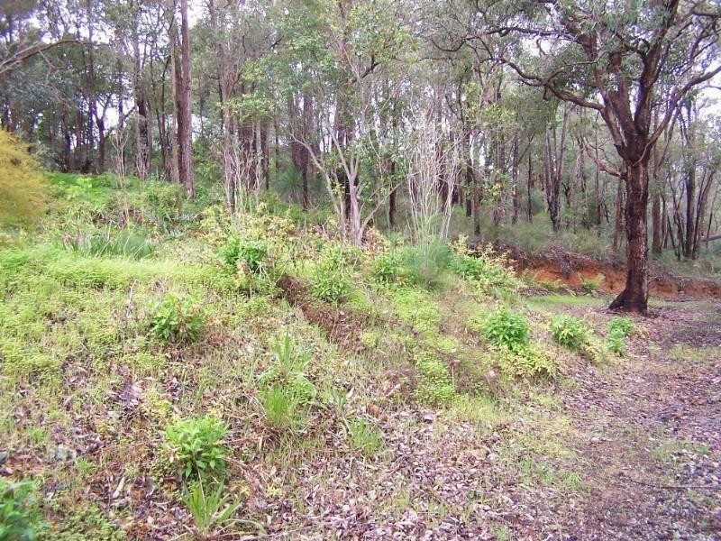 94 Falls Road, Lesmurdie WA 6076