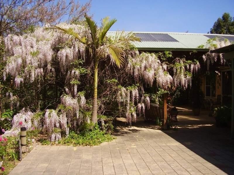 47 Mundaring Weir Road, Kalamunda WA 6076