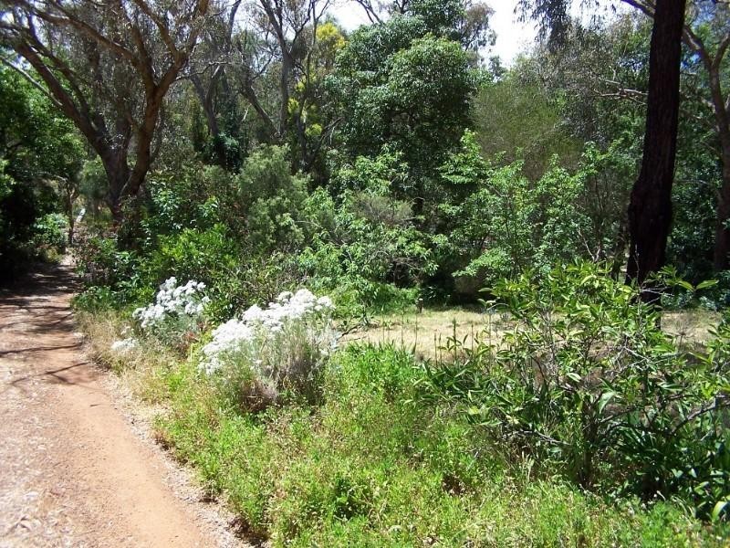 2/12 Taylor Road, Kalamunda WA 6076