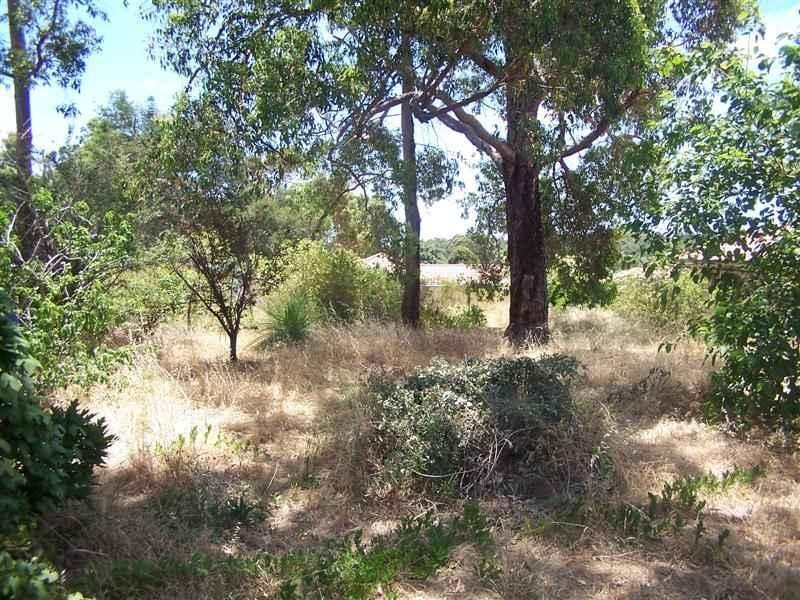 12 Heath Road, Kalamunda WA 6076