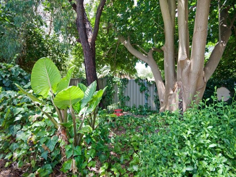 6 Holly Way West, Kalamunda WA 6076